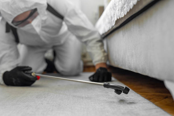 Professional Rodent Control technician working in El Cerro Mission, NM