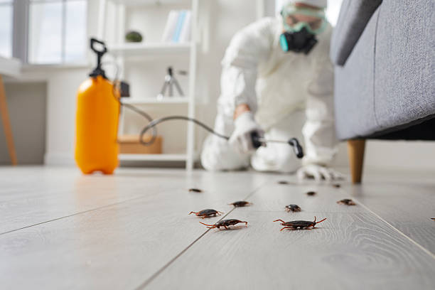 Trusted Fumigation Services service in El Cerro Mission, NM - Nex Pest Control