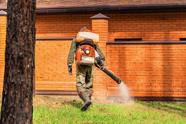 Trusted Bed Bug Control service in El Cerro Mission, NM - Nex Pest Control
